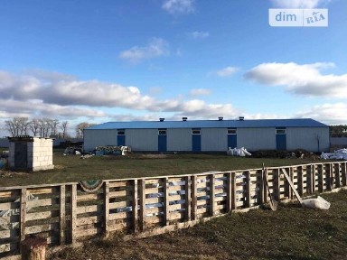 Продаж комерційного приміщення на Траса Київ-Харків, площа 473.1 кв. м • ID 26527430