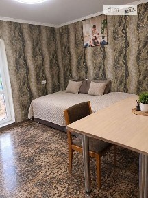 Продаж 1 поверхового будинку з ділянкою на 6 соток, 56 кв. м, 1 кімната, на дачний Чисті Ставки • ID 35066765