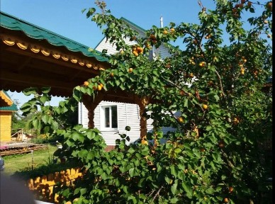 Оренда будинку 150 м²