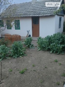Продаж 1 поверхового будинку з ділянкою на 7 соток, 65 кв. м, 2 кімнати, на вул. Олександра Вакульського • ID 35066932