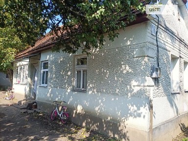 Продаж 1 поверхового будинку з ділянкою на 45 соток, 50 кв. м, 2 кімнати, на вул. Ніртелецька 26 • ID 35066837