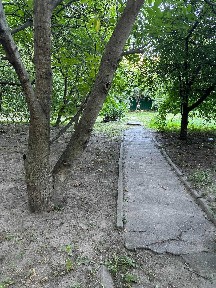 Трехкомнатная срочно сдам Севастопольськая пл Берегового