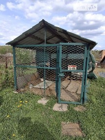 Продаж 1 поверхового будинку з ділянкою на 7 соток, 113.4 кв. м, 5 кімнат, на вул. Чорнухинська • ID 35068891