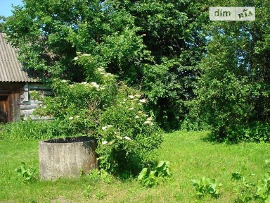 Продаж 1 поверхового будинку з ділянкою на 16 соток, 35 кв. м, 2 кімнати, на вул. Миру 4 • ID 35069008