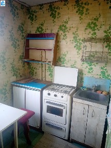 3-х кімн. мебльована, газ плита, жилий стан, можна з тваринами