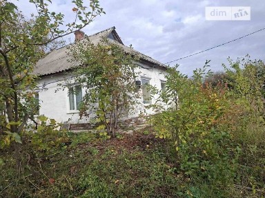 Продаж 1 поверхового будинку з ділянкою на 26 соток, 45.8 кв. м, 3 кімнати, на пров. Чкалова 9 • ID 35077450