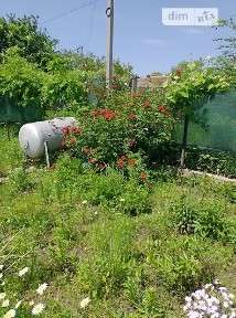 Продаж 1 поверхового будинку 9 кв. м, 1 кімната • ID 35077394