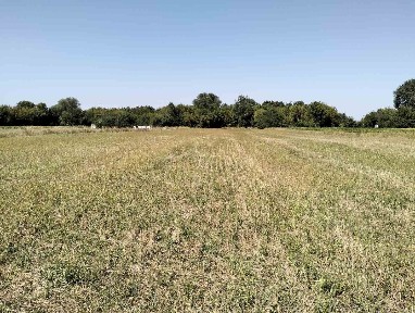 Продам земельну ділянку із старим будинком в селі Іванівка Білоцерківс