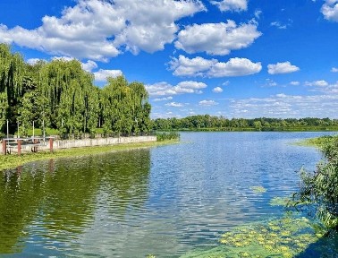 Власний вихід до води Продаж будинку «Дніпрова хвиля» Козин, Дамба. Конча Заспа Дніпро