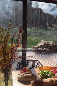 Оренда будинка для відпочинку у лісі, чан, баня