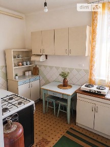 Продаж 1 поверхового будинку з верандою і ділянкою на 30 соток, 3000 кв. м, 6 кімнат, на вул. Паркова 113 • ID 35078944