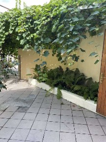 Оренда будинку 47 м², 1-й Чехова пров., 14