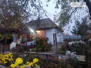 Продаж 1 поверхового будинку з ділянкою на 23 сотки, 62 кв. м, 3 кімнати, на вул. Ясна • ID 35085436