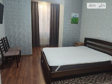 Довготривала оренда 1к квартири на вул. Михайла Грушевського 39/2 • ID 35085834