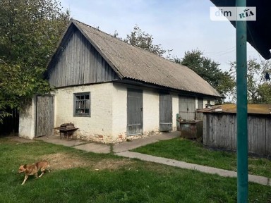 Продаж 1 поверхового будинку з ділянкою на 50 соток, 100 кв. м, 4 кімнати, на вулиця Незалежності • ID 35086876