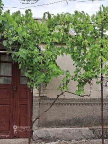 Продаж 1 поверхового будинку бесідка і ділянкою на 25 соток, 73.9 кв. м, 3 кімнати, на вул. Молодіжна 44 • ID 35084845