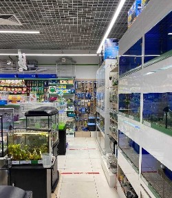 Продаж приміщення з двома мережевими орендарями в трафіковому місці