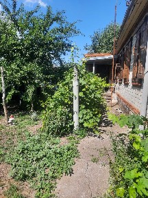 Продам дом в Каменных Потоках