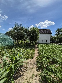 Продаж чудової дачі. 10 сот землі. Березанка
