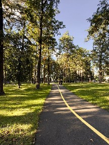 Квартира під ремонт сертифікат держ програми так