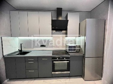 Оренда 1к квартири 45м2 ЖК Лебединий вул. Ревуцького 40Б Дарниця
