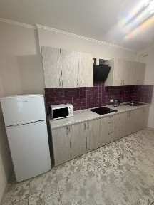 Оренда великої 1к квартири. Семʼї Стешенків, 9