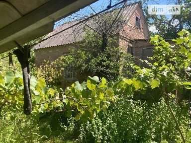 Продаж 1 поверхового будинку з верандою і ділянкою на 40 соток, 36.8 кв. м, 3 кімнати, на Набережна • ID 35091136