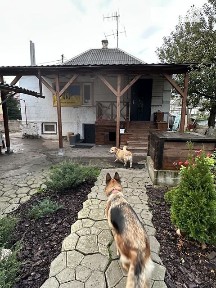 Продаж 2 поверхового будинку бесідка і ділянкою на 10 соток, 97.7 кв. м, 3 кімнати, на пров. Діївський 8 • ID 35088717