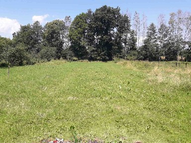 Продам житловий будинок з 30 сотими землі під ним!