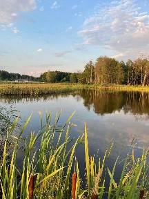 Дом с большим участком и озерами в лесу