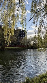 1-к квартира 33,5 м² в розтермінування, Чабани