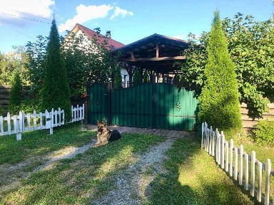 2 БУДИНКИ на 3 га. Міні Ферма біля Малину. База Відпочинку. Без Комісії