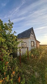 Тиша, природа та місце для вашої мрії. Дальні Сади. с.Пороскотень, Бучанський р-н