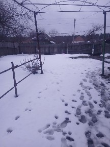 Терміновий продаж будинку