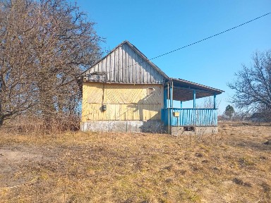 Продам будинок с. Великий Дивлин.