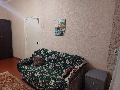 Здам 1 квартиру в центрі Запоріжжя