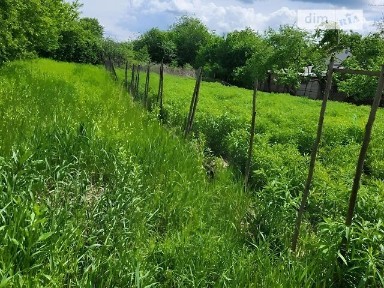 Продаж 1 поверхового будинку з ділянкою на 21 сотку, 126 кв. м, 3 кімнати, на вул. Ужгородська • ID 35101471
