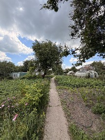 Частина будинку з окремим двором р-н Круг СС