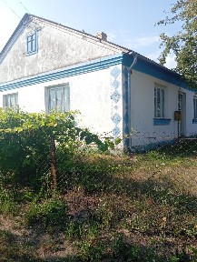 Продам будинок біля м. Горохова!