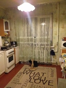 Продажа 1-комнатной квартиры 34 м², Вана виговського ул., 16