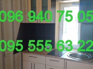 Киевская обл., Бориспольский район, с. Гнедин, Центральная ул.