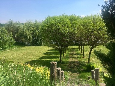 Дом 250кв. на берегу реки. Ландшафтный дизайн. 30 км от Киева.