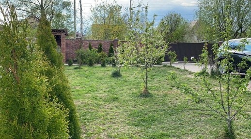 Киевская обл., Бориспольский район, с. Гнедин