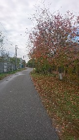 Киевская обл., Бориспольский район, с. Вишенки