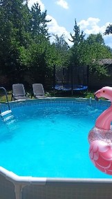 Київська область, Київ, Дарницький