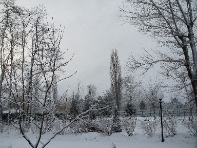 Киевская обл., Вышгородский район, с. Новоселки, Бурилово ул.