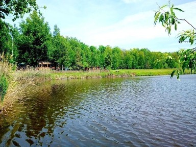 Дом посуточно 400 м², Ул Инстетутская ул.